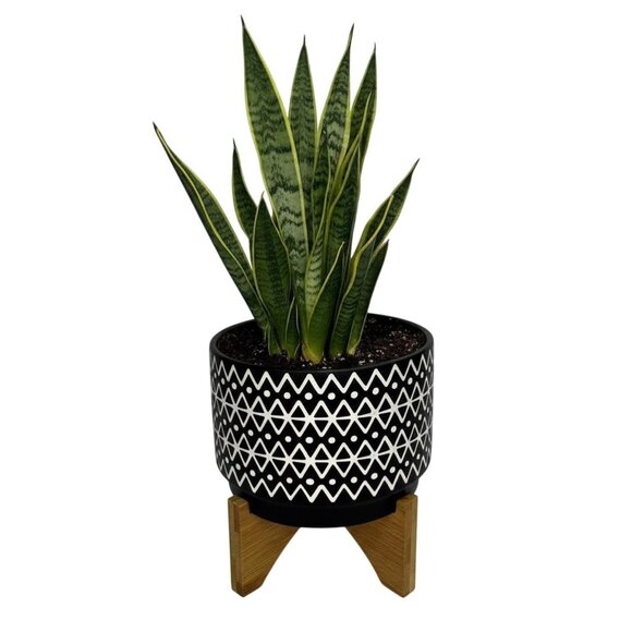 Black & White Bohemian Boho Ceramic Planter With Wooden Stand Plant Mom - Picture 1 of 9